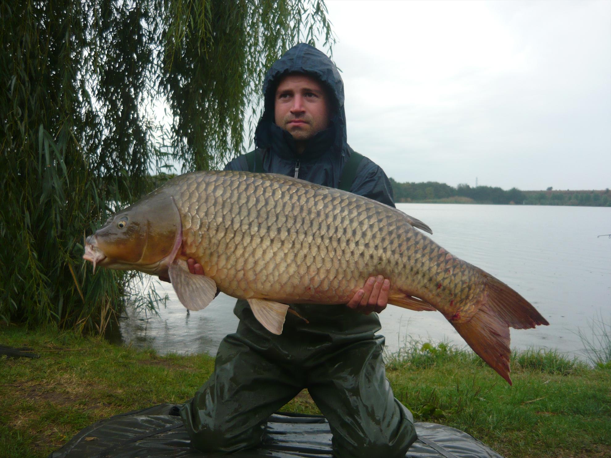 Best-2010 - p1020464.JPG